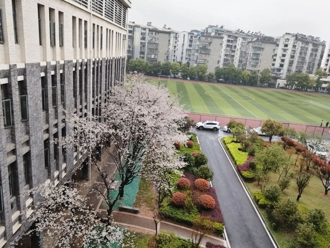 微信图片_20230321110412.jpg